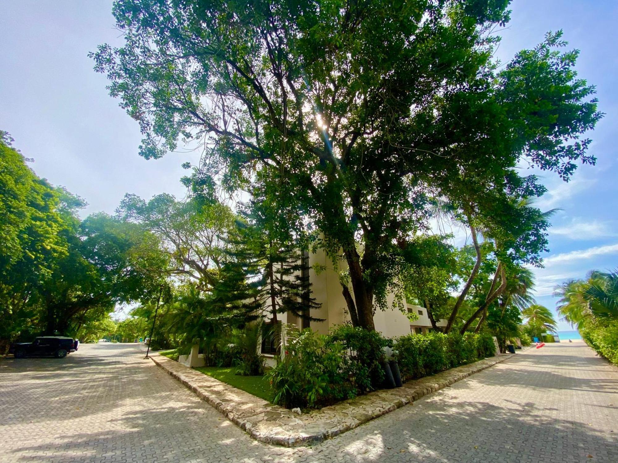 Villa Almendra Playacar 1 Playa del Carmen Bagian luar foto